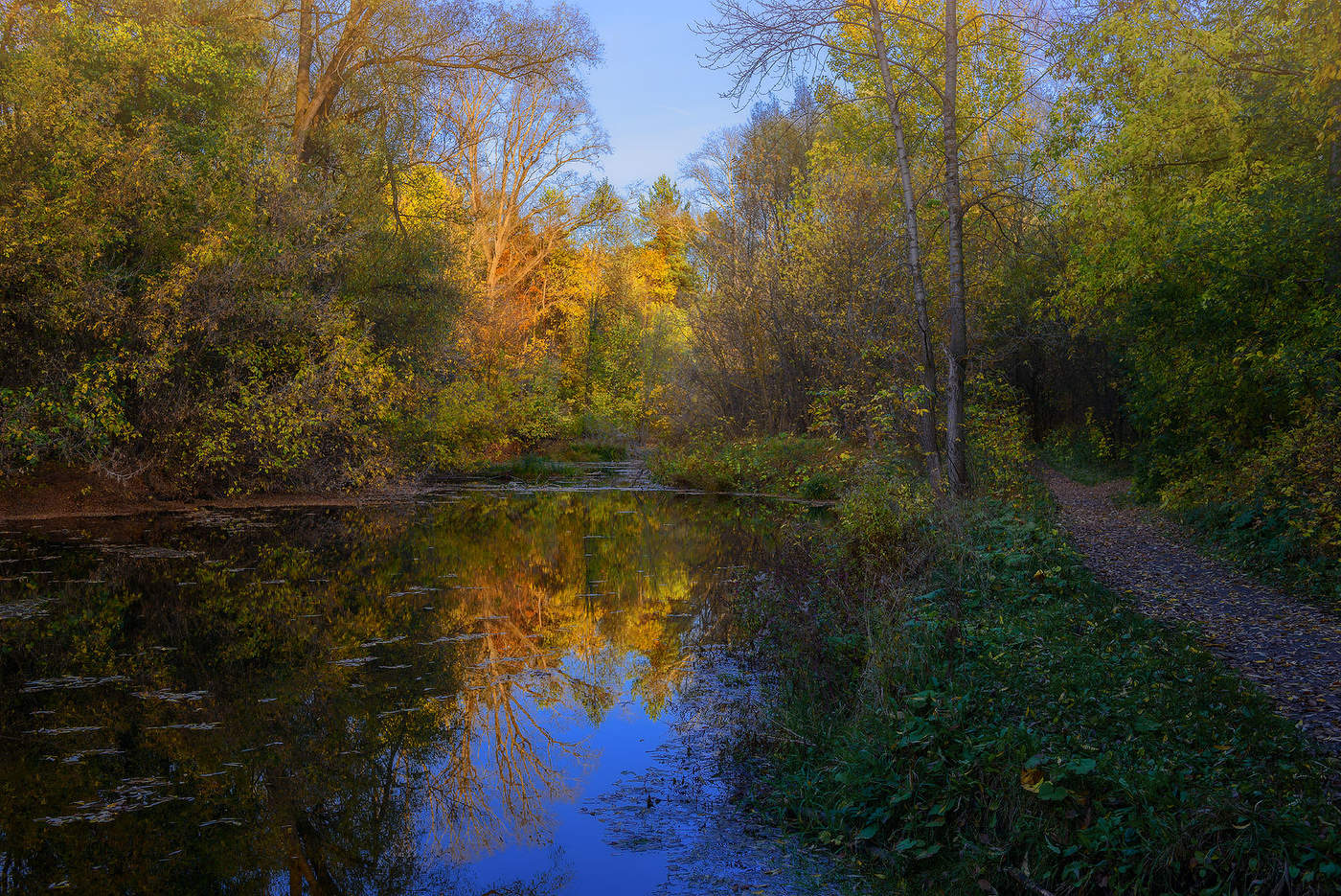 Старый пруд...