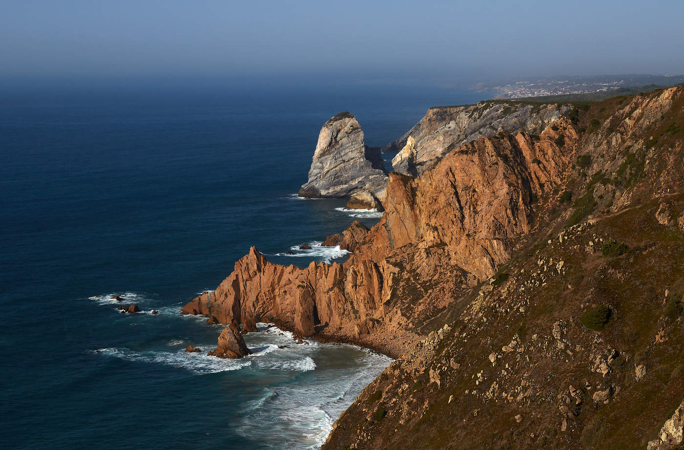 такие разные соседи