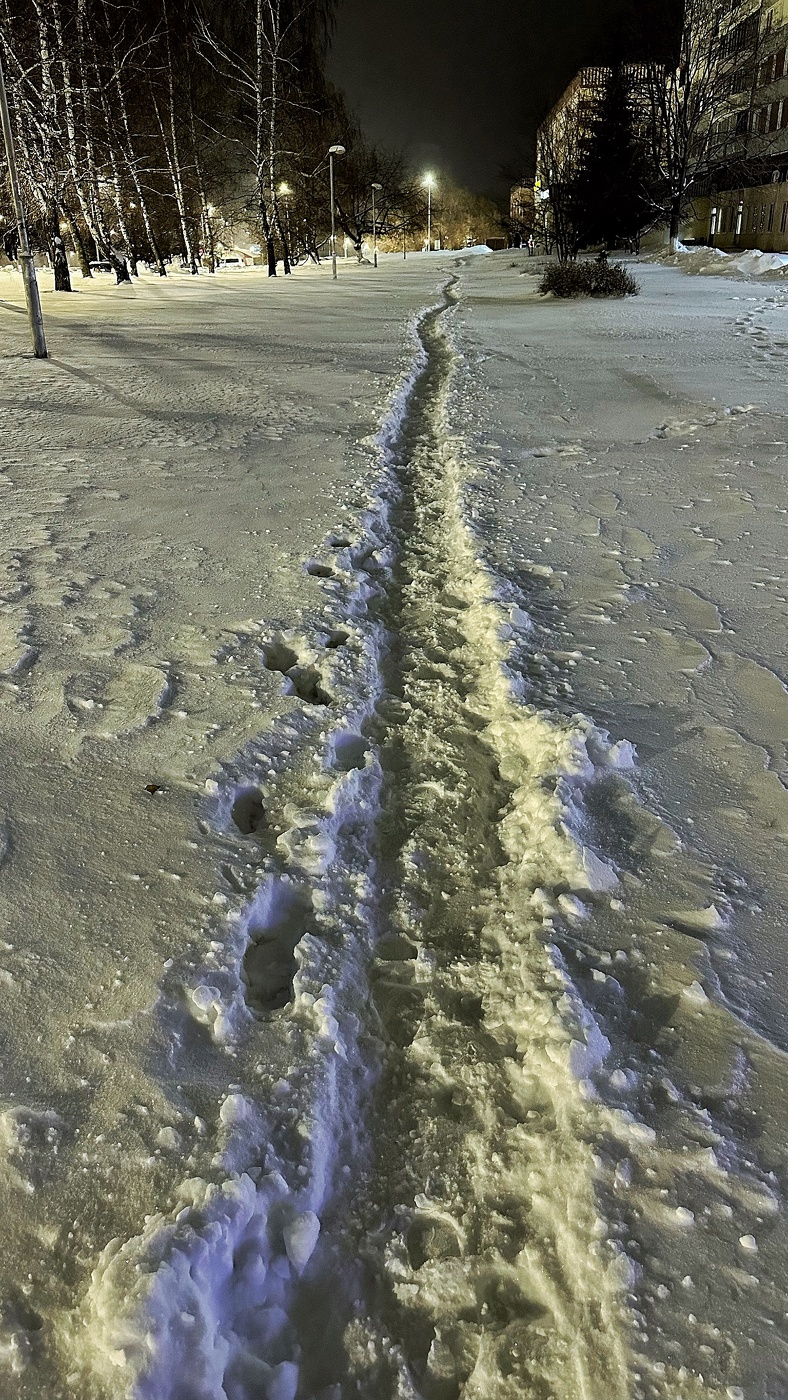 Тропа домой