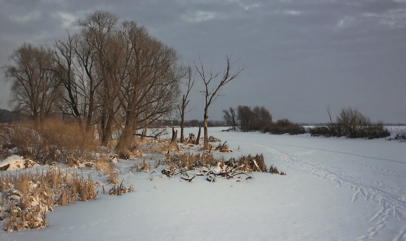 Вечерний сюжет