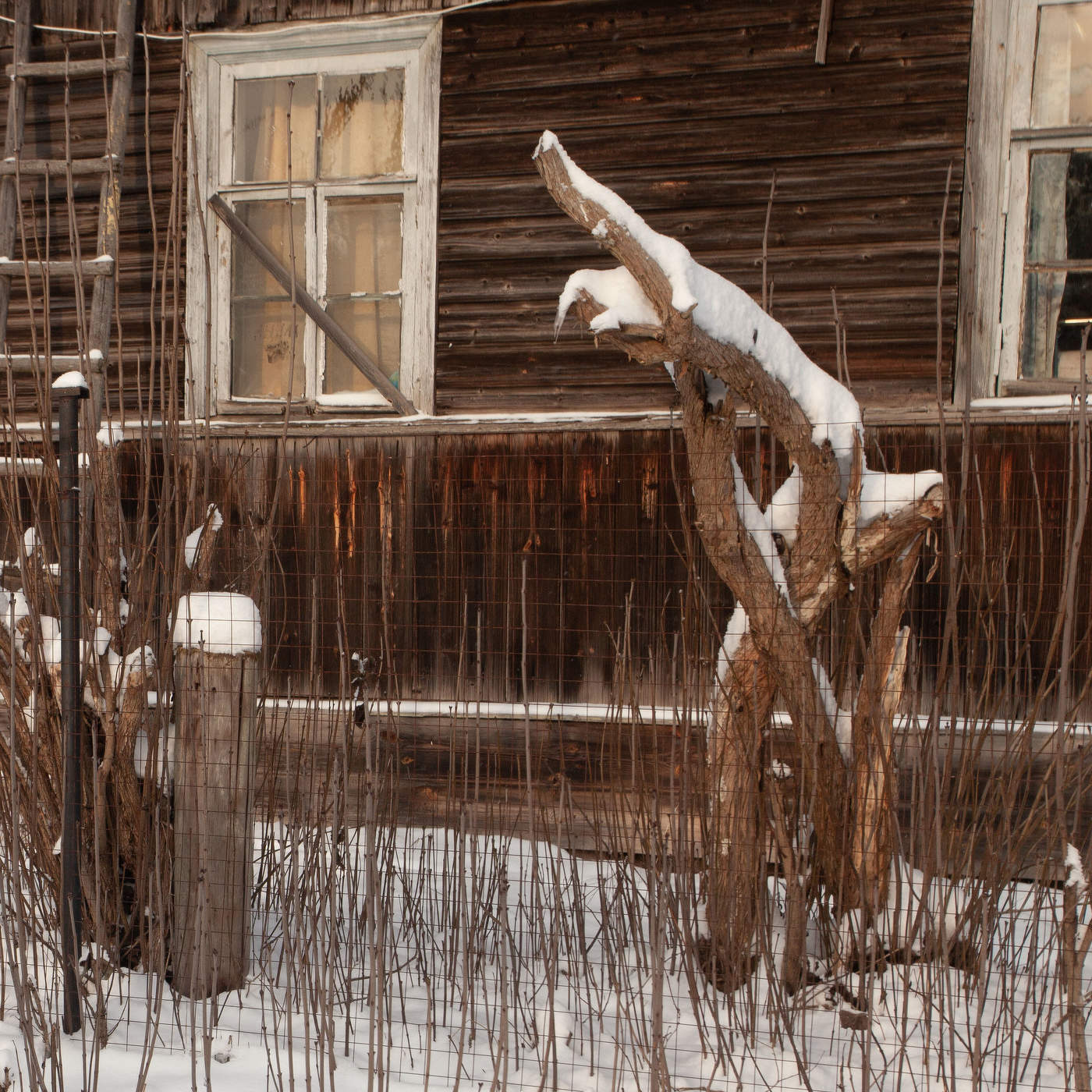 Жизнь вокруг