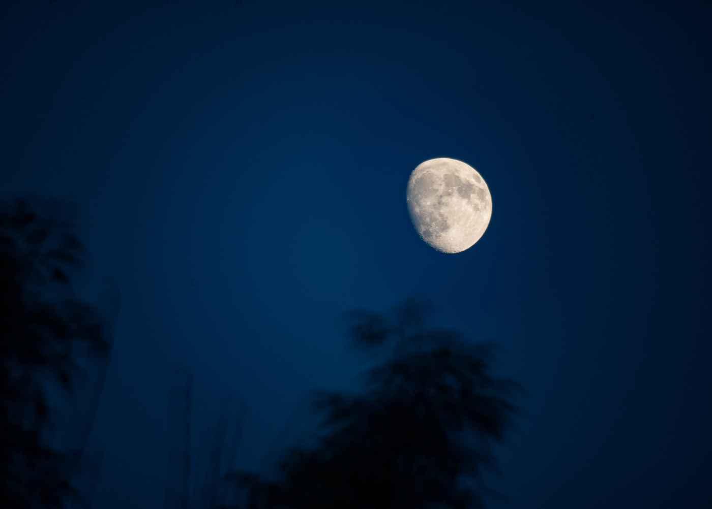 Майская ночь