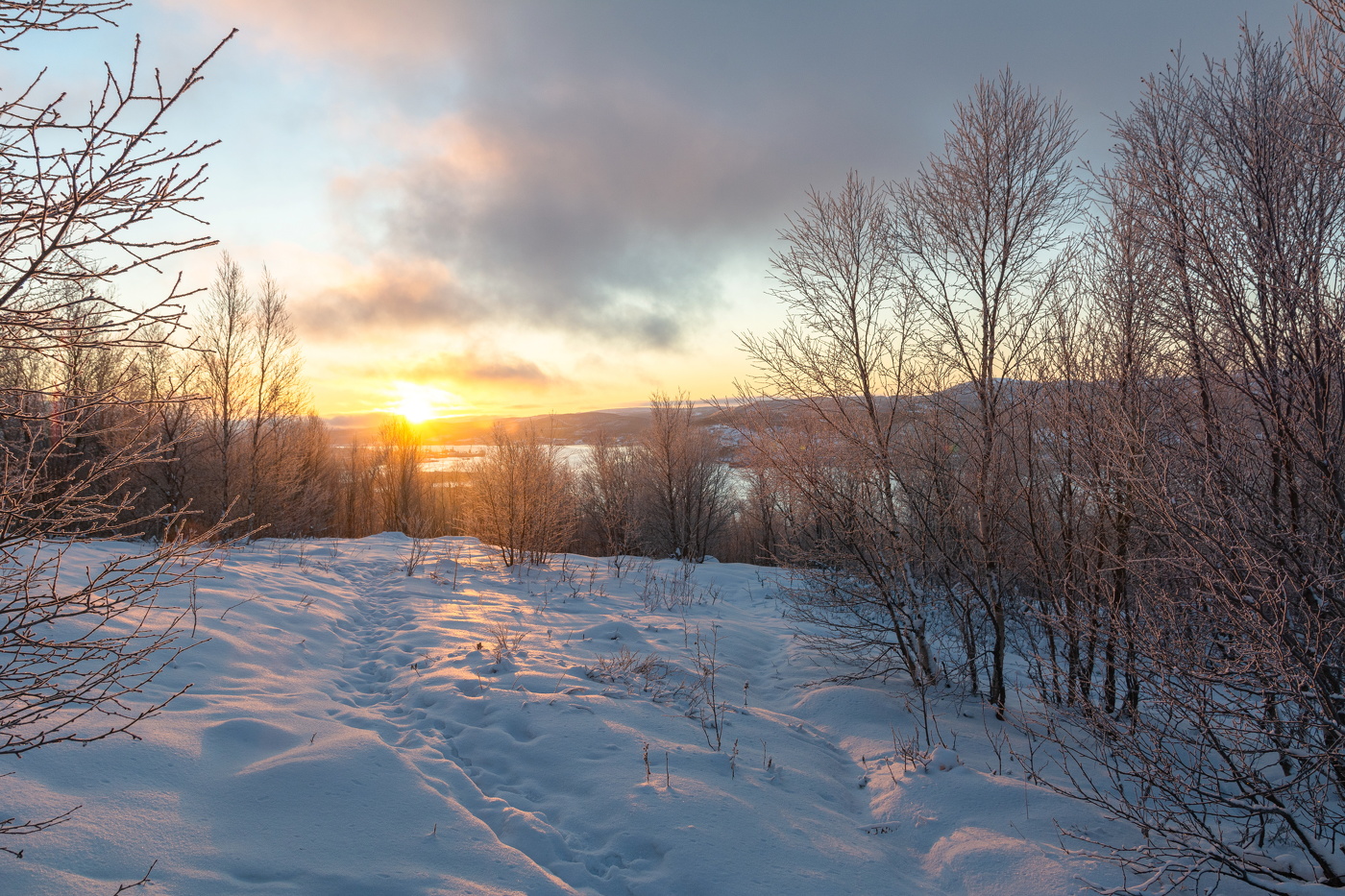 закатный свет