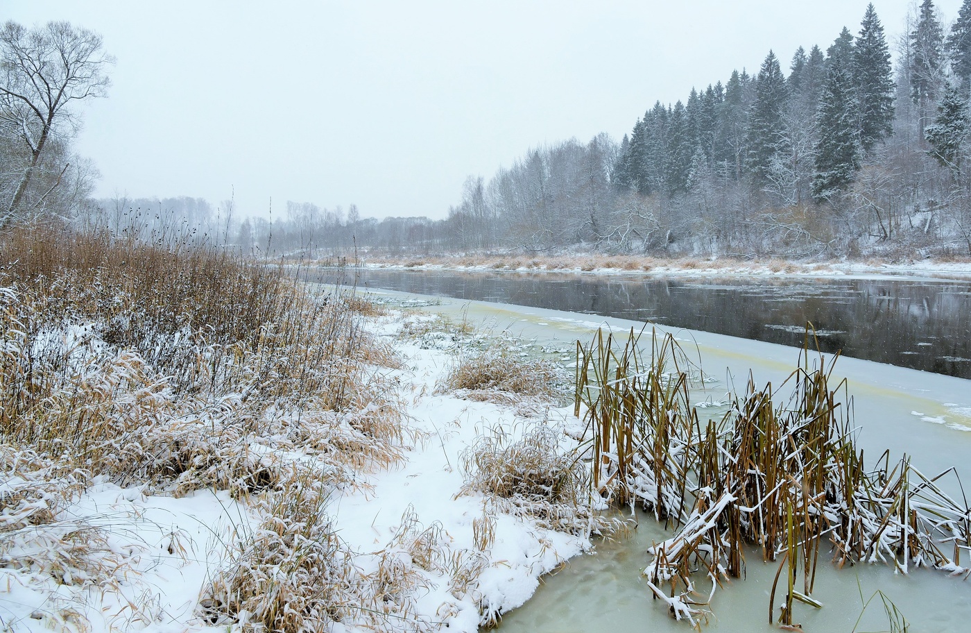 В последних числах ноября ...