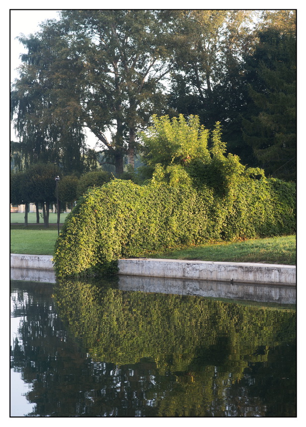 "Кусковский бегемо"