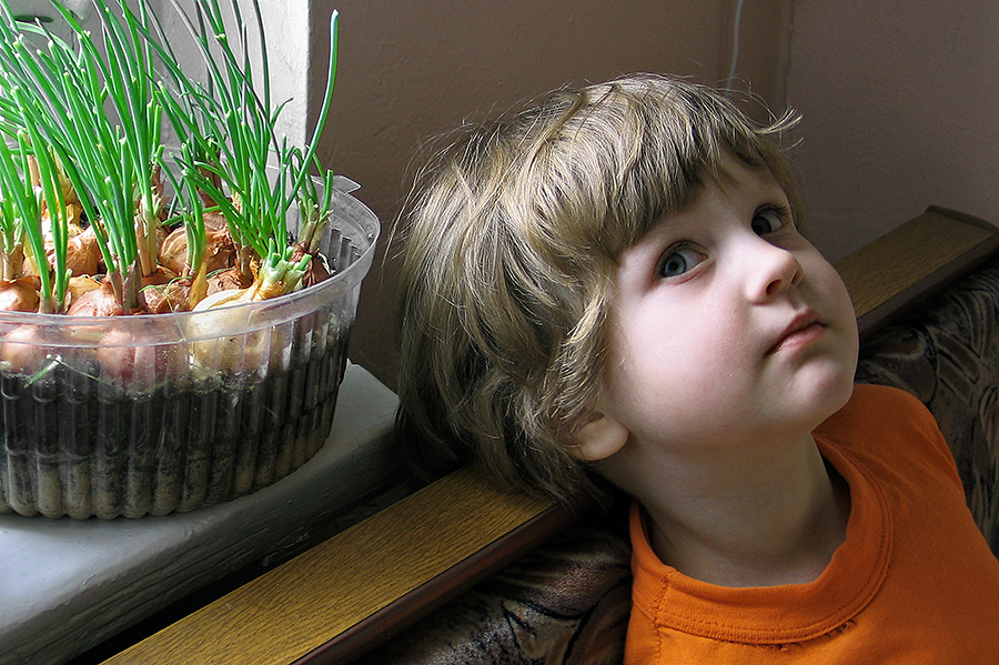 Девочка и лук