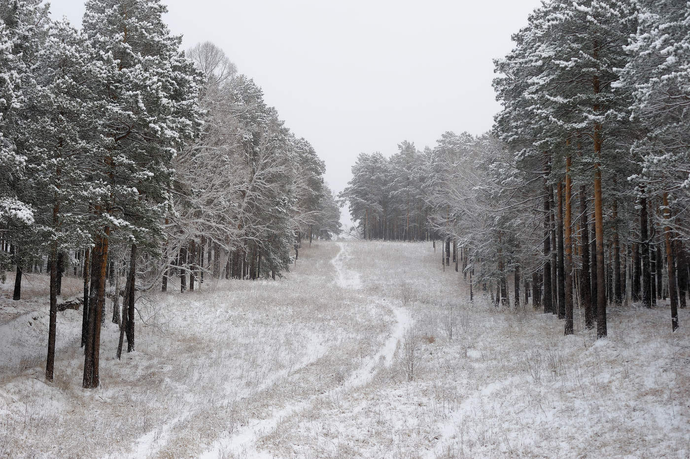 Эх, красота-то какая! Лепота!