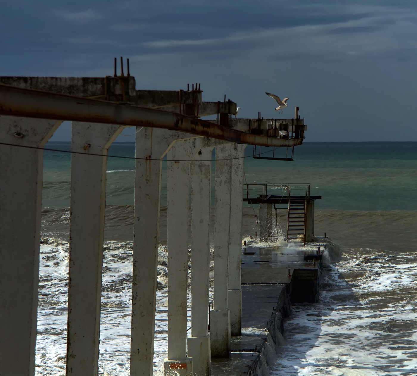 Буревестник