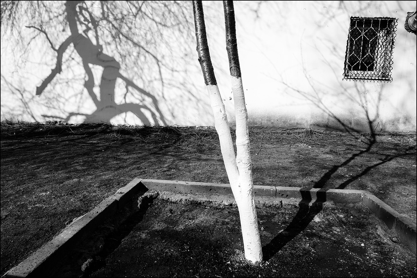 гор. пейзаж с окном и стволом