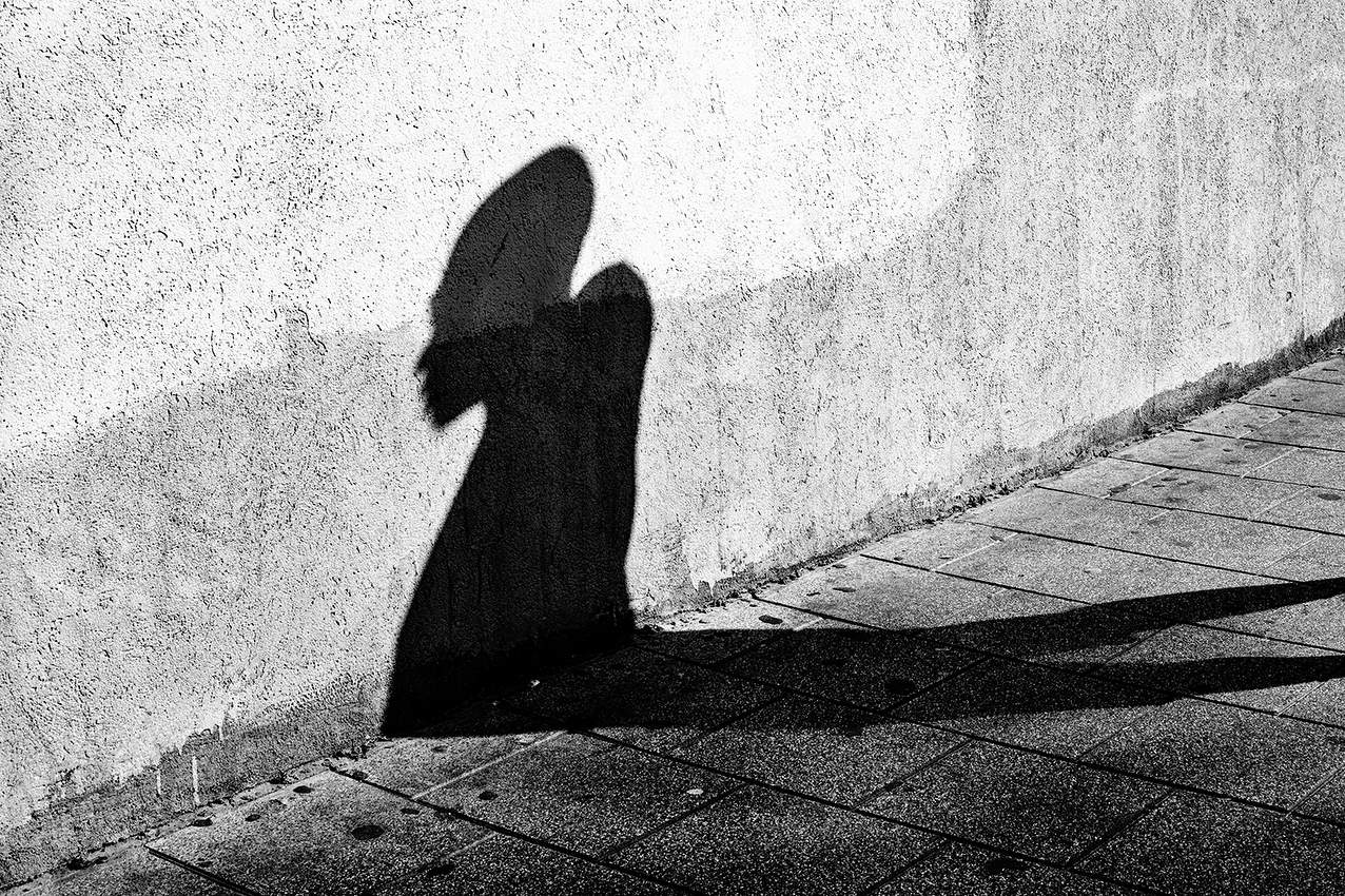 Этюд с проходящей мимо тенью