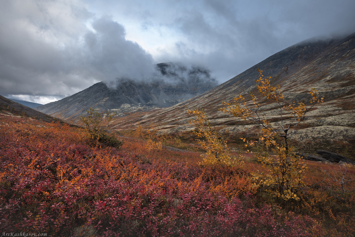 "Тундра осенью"