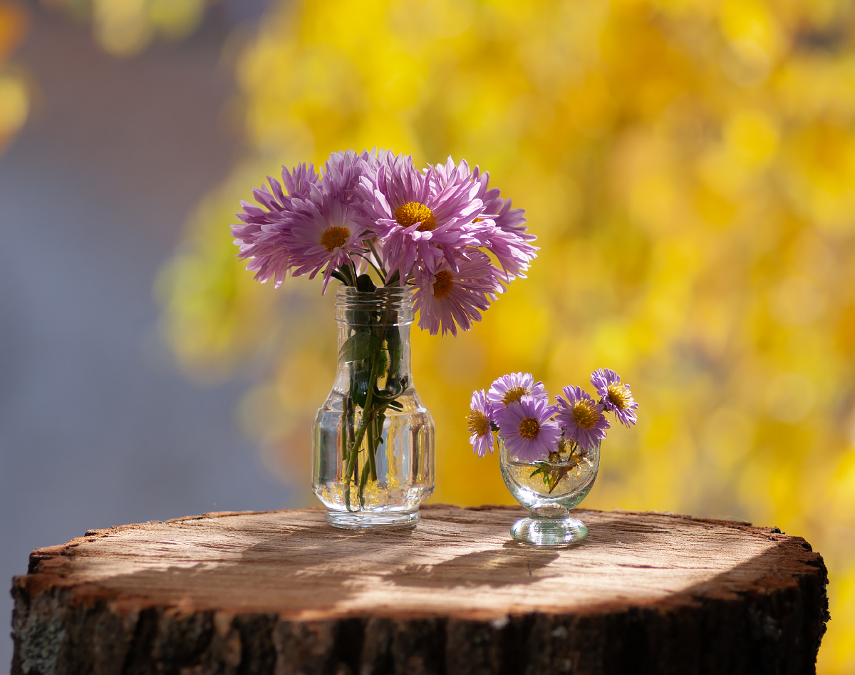 Теплый октябрьский день