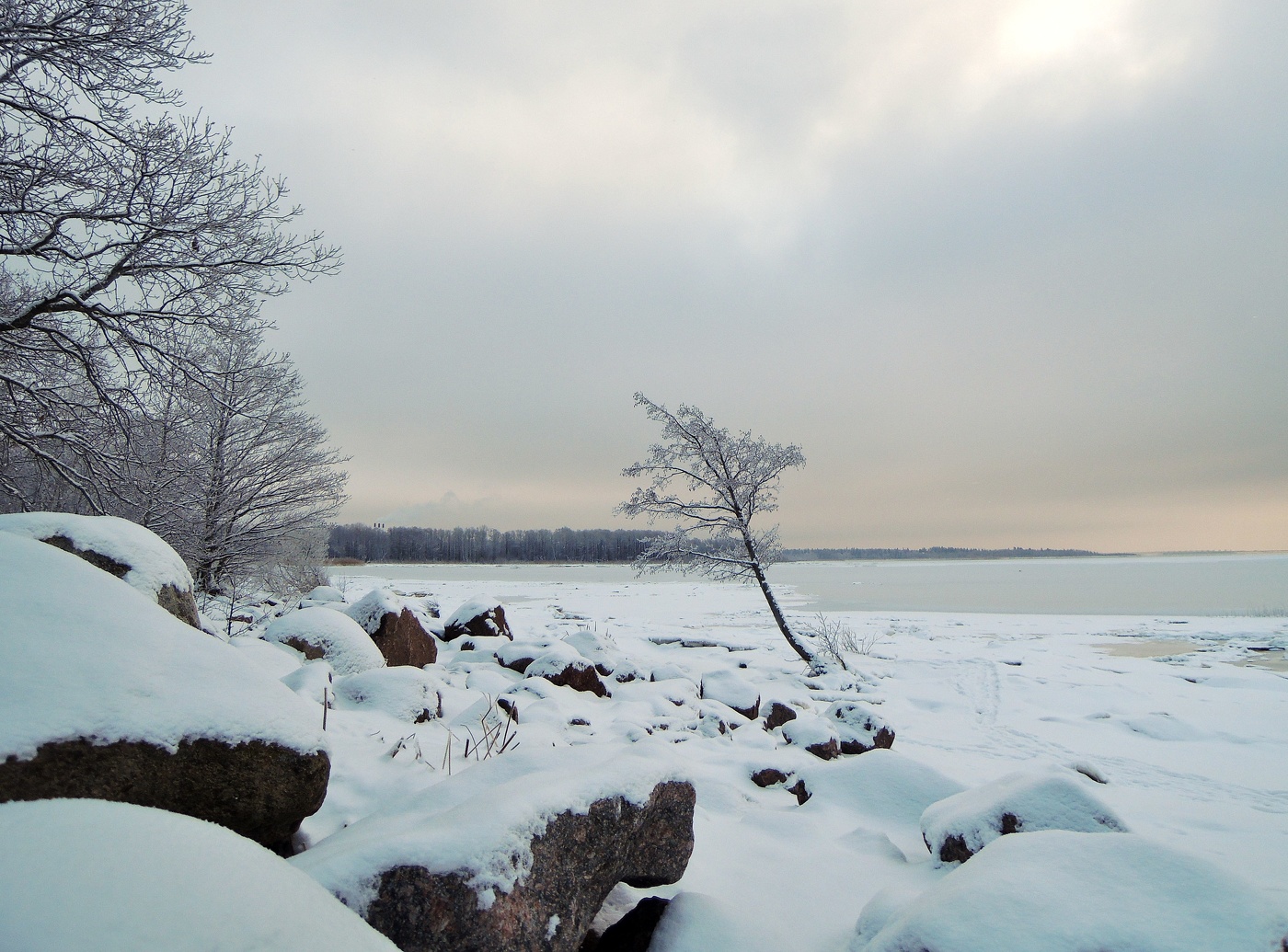 Зима в гости...