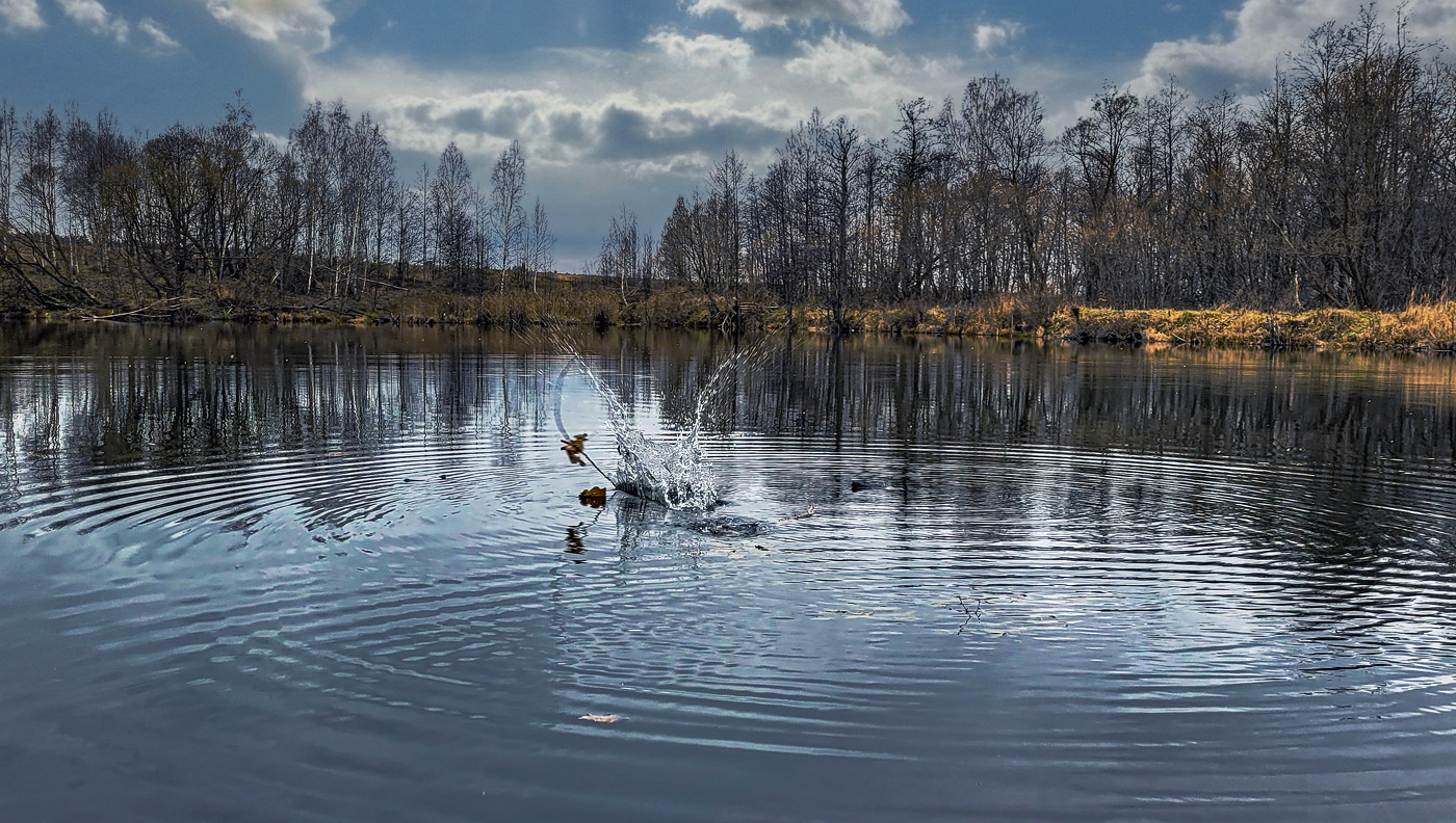 Пейзаж ноября.