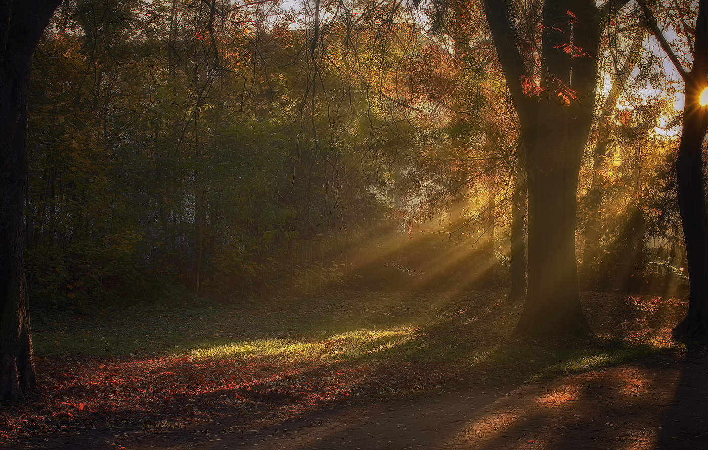 Солнышко играет