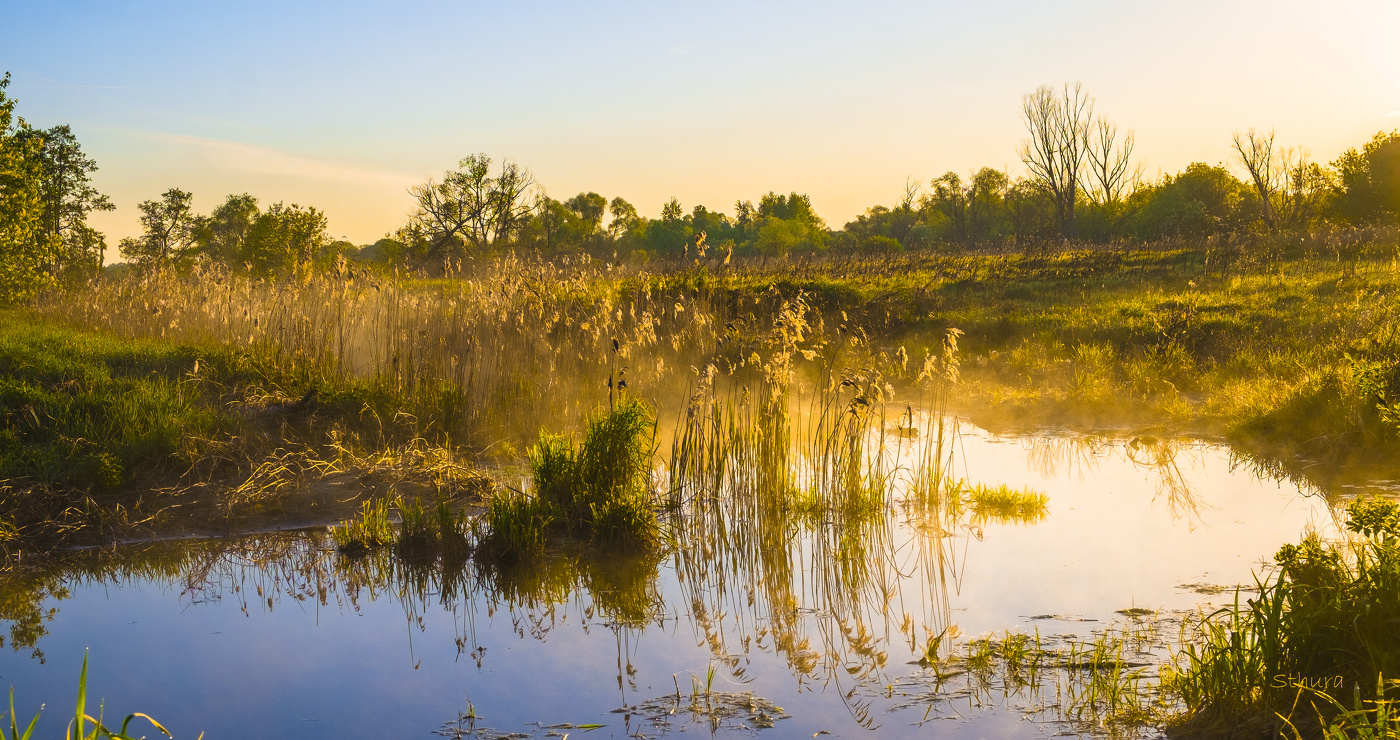 Весенний ручей.