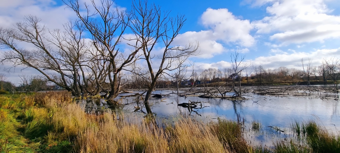 Осенняя депрессия...