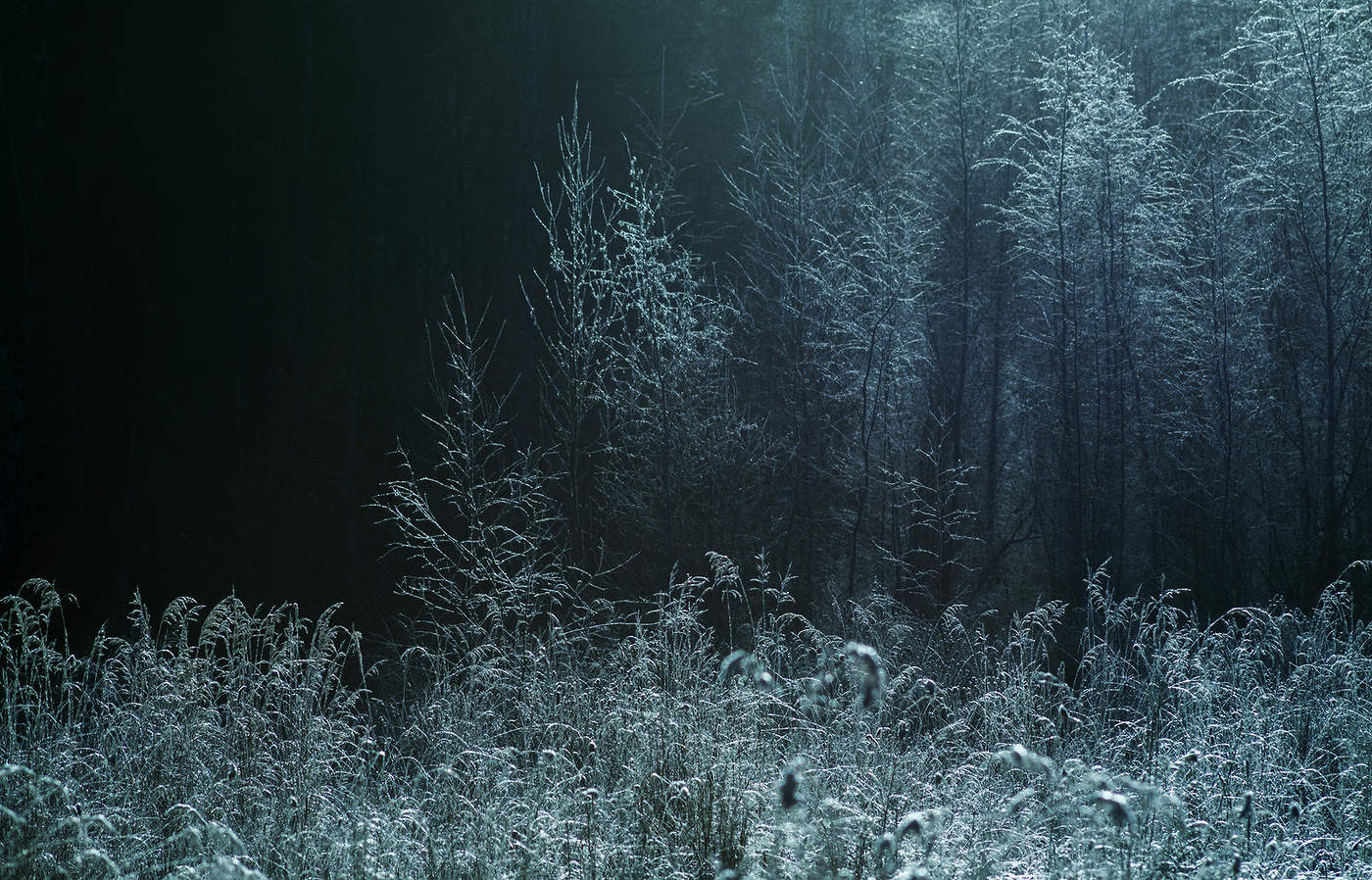 Свет в ночи