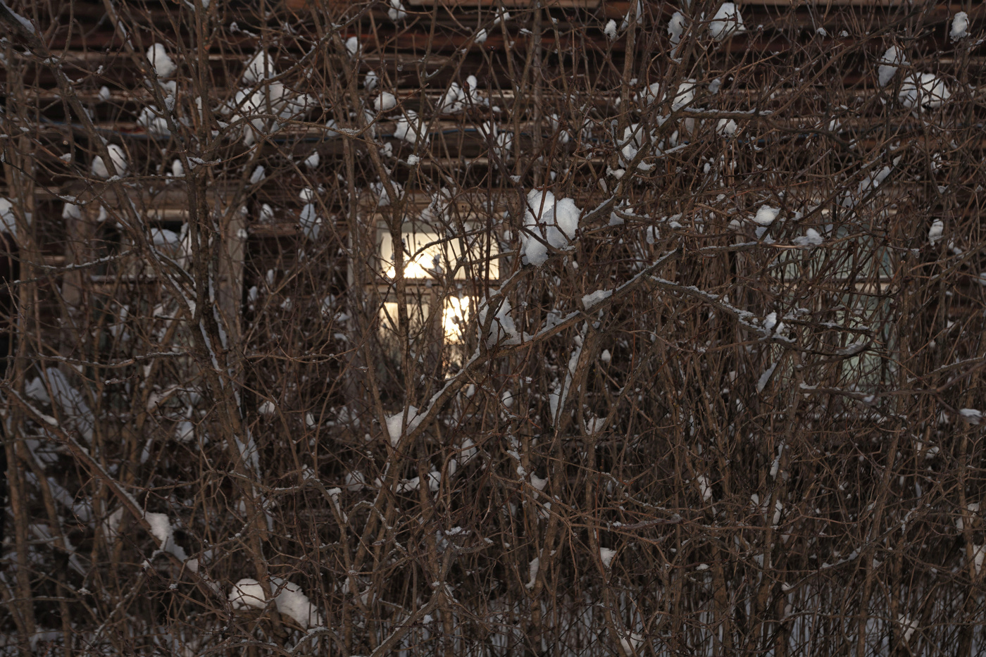 Жизнь вокруг