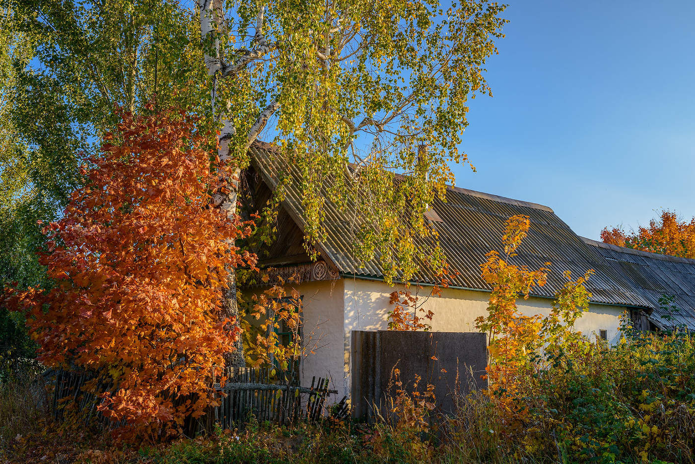 Ушедшая осень...