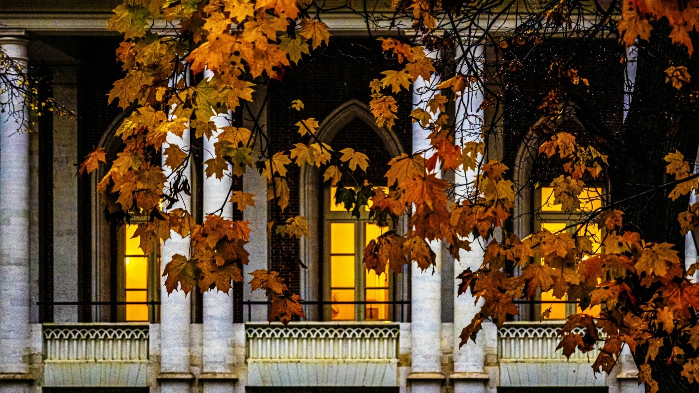 ОСЕНЬ В ЦАРИЦЫНО