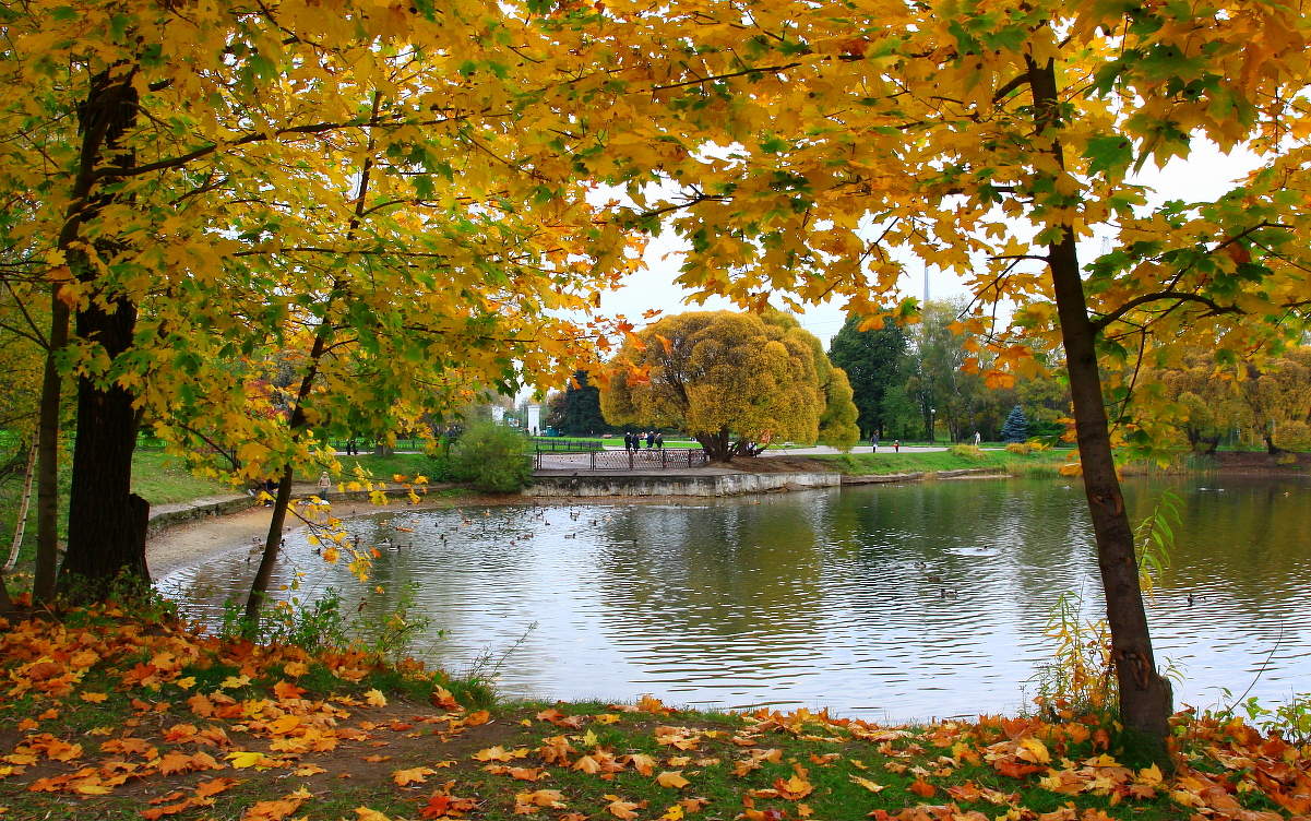 Вся красота Осени !!!