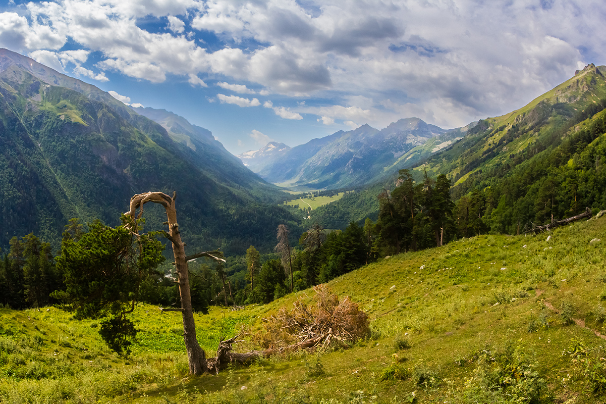 Свесив голову