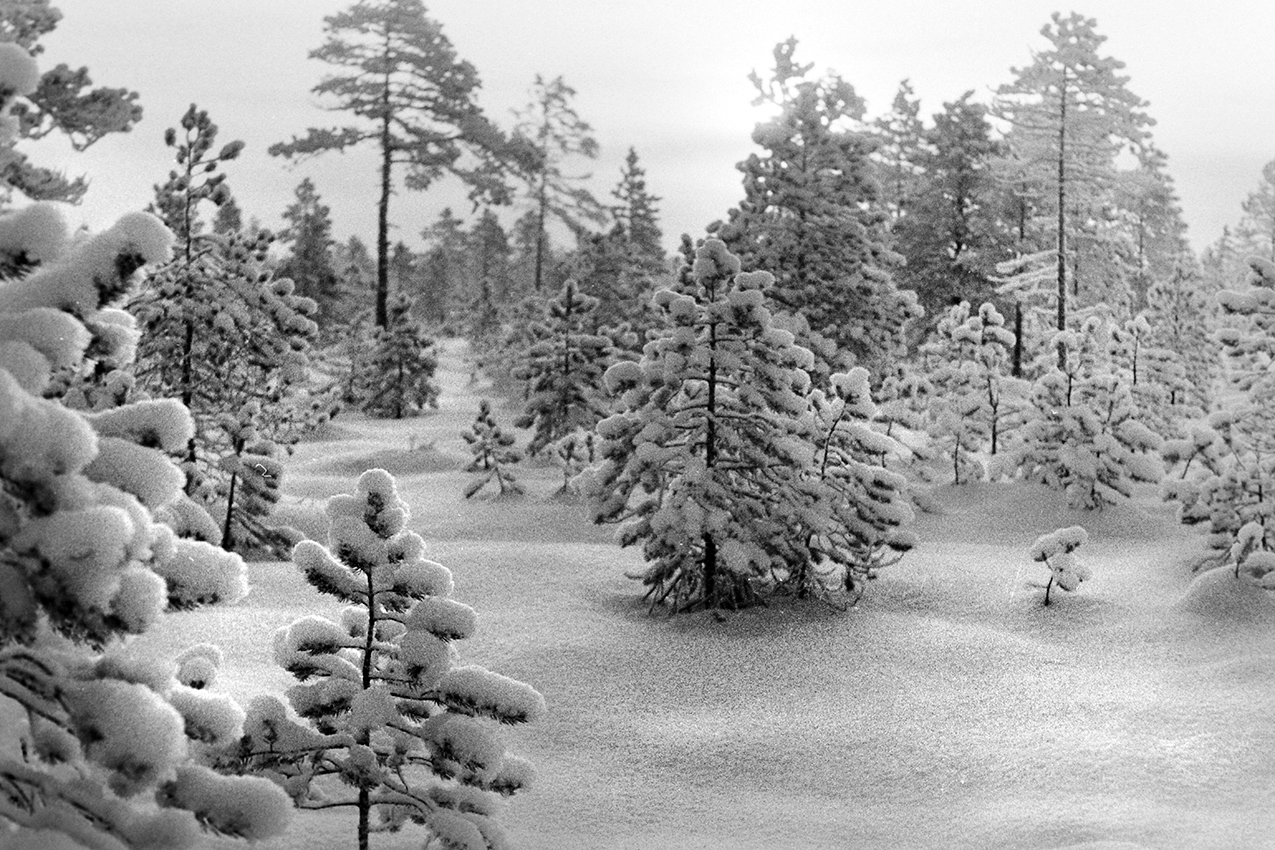 Зима, однако.