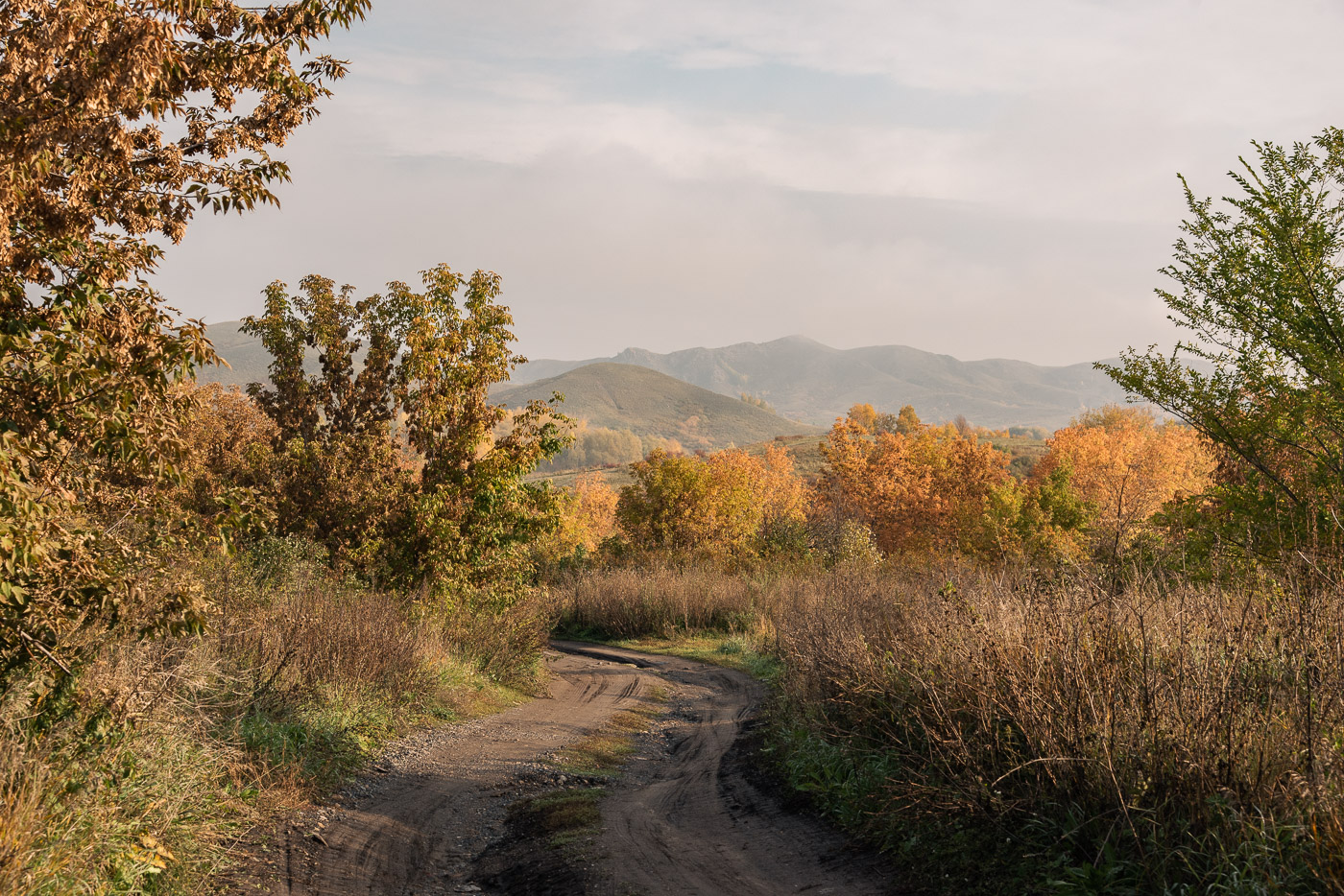 Осеннее утро