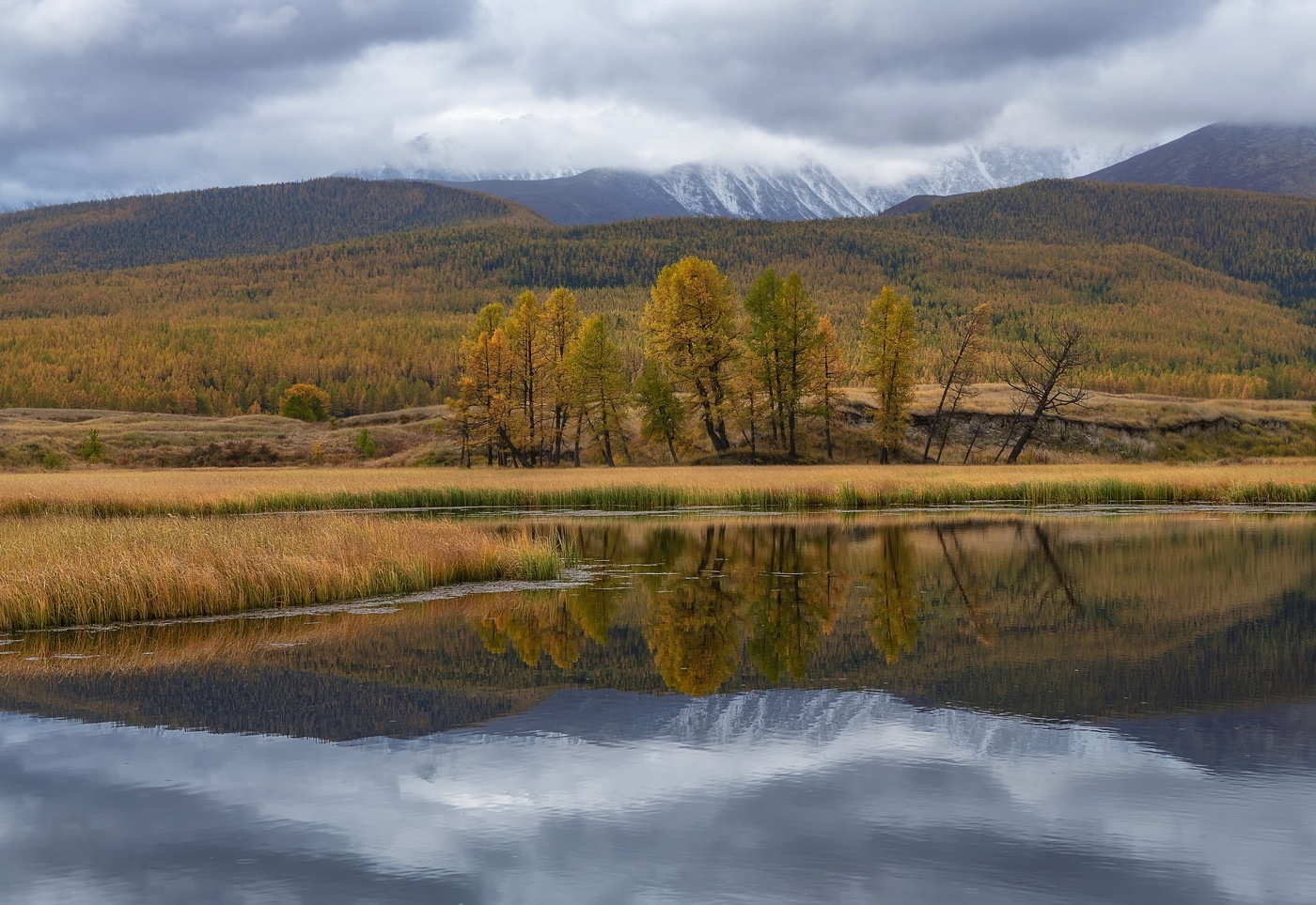 Золотая осень