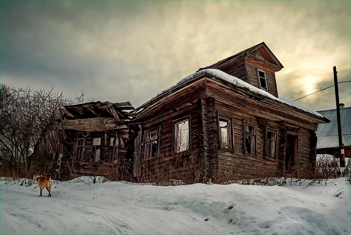 Память четвероногого друга.