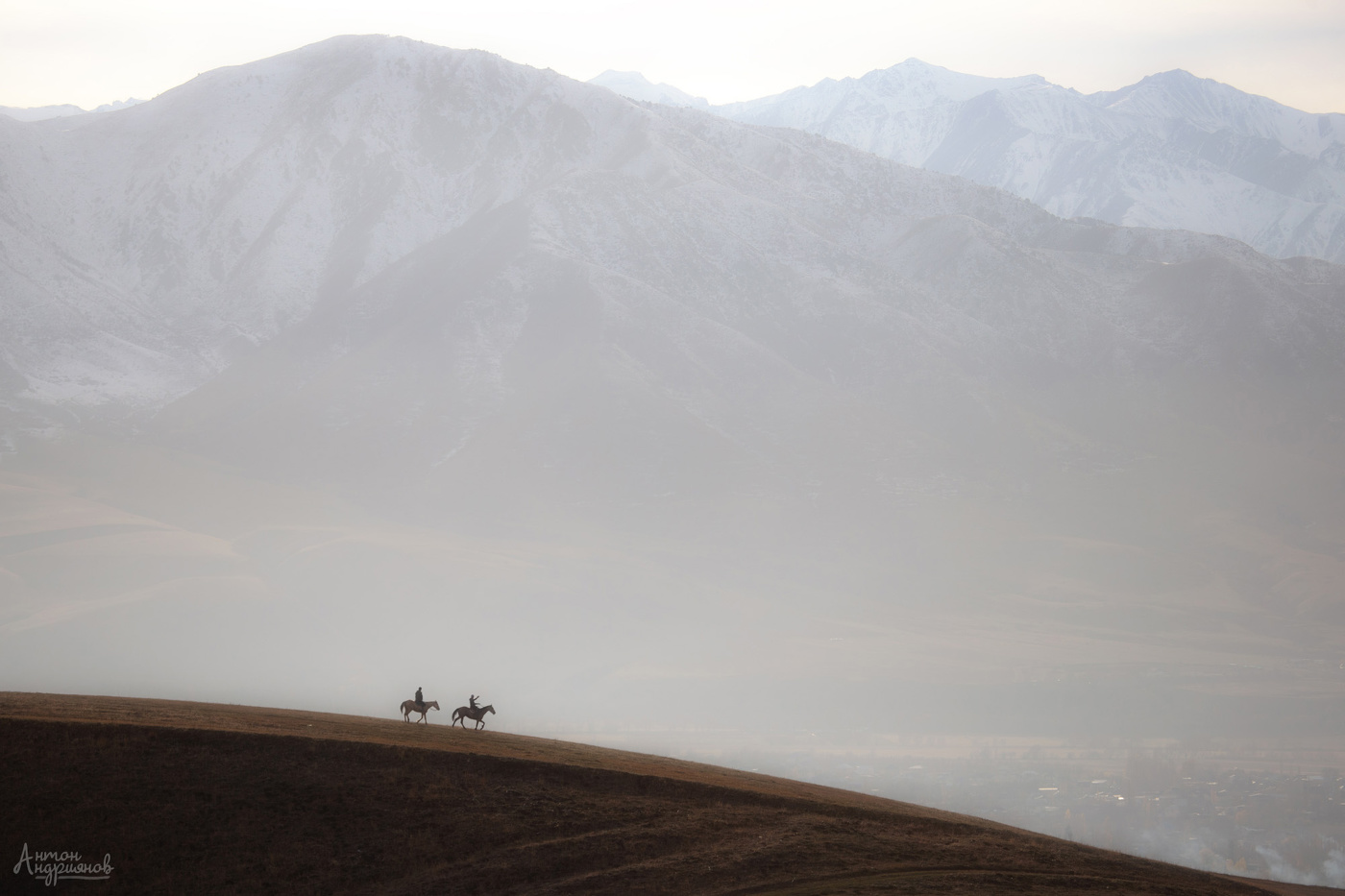 Пейзаж с конями