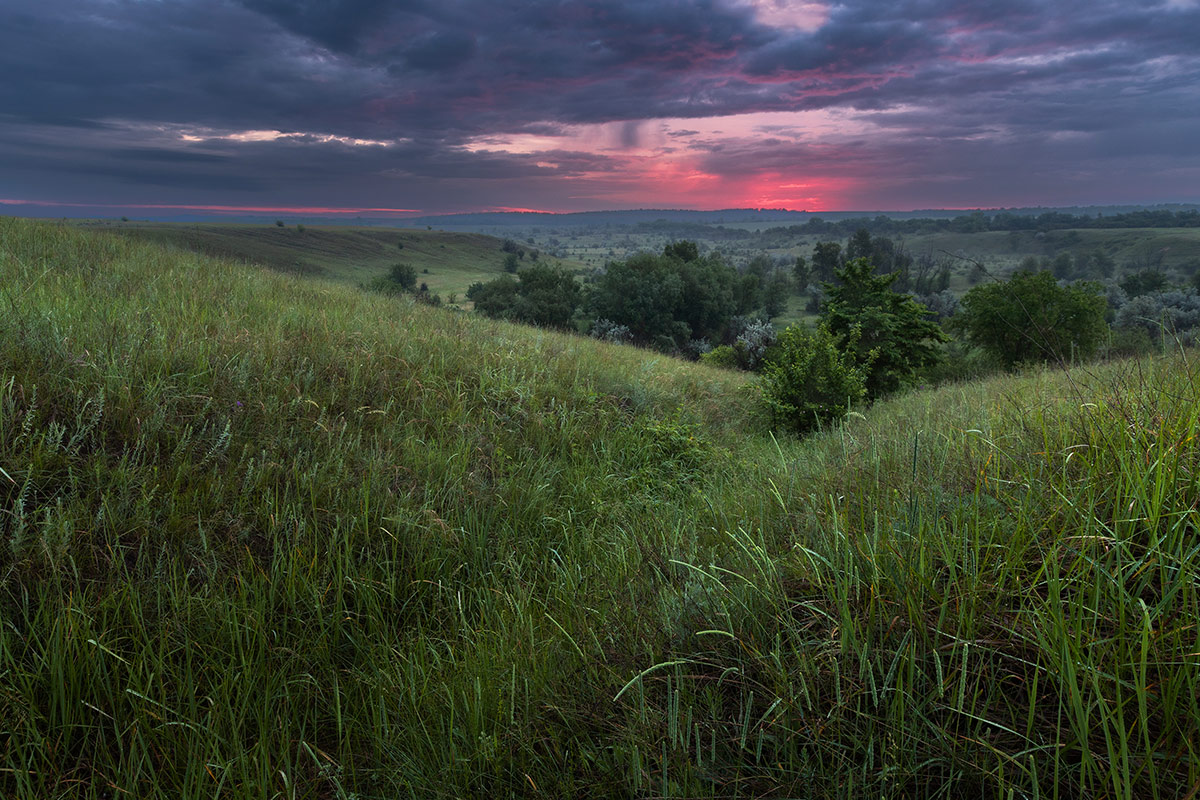 Первое утро лета