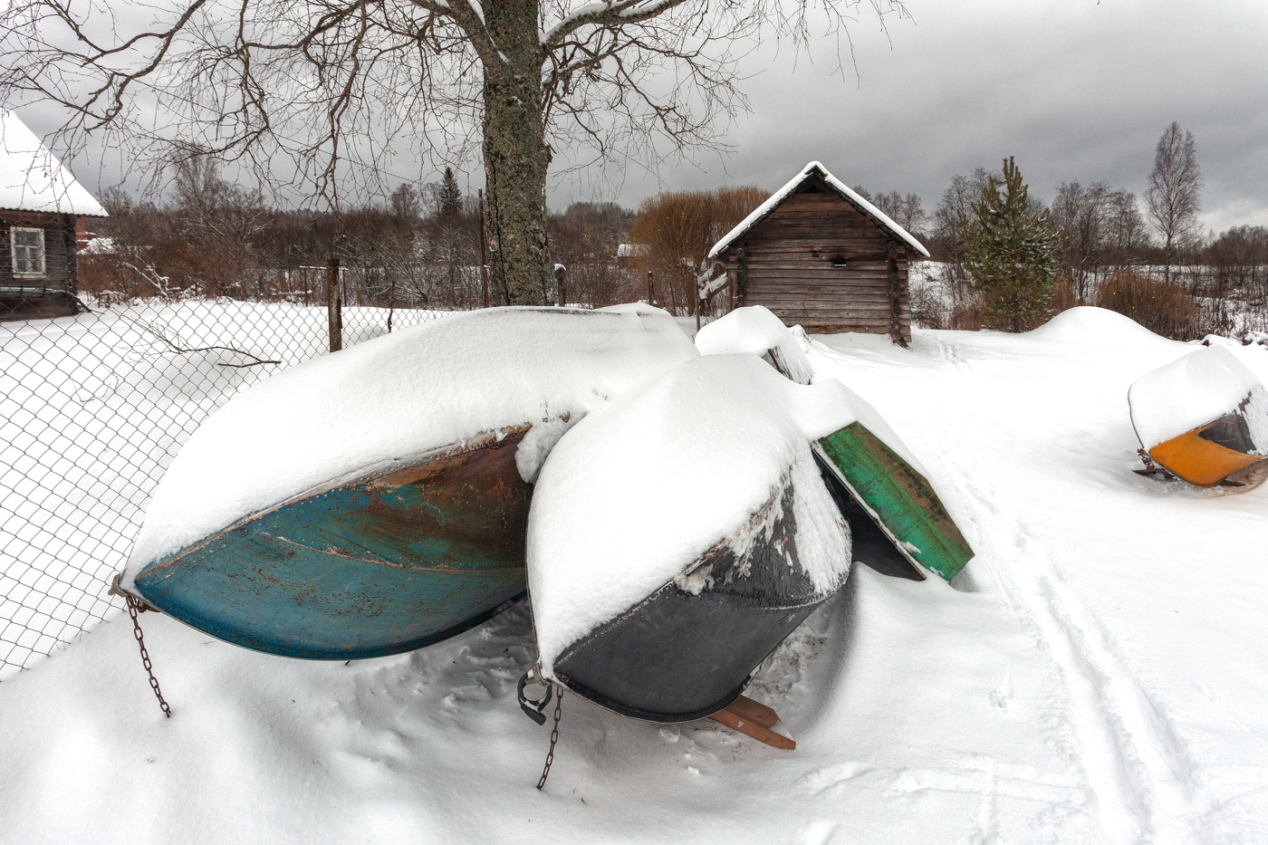 Жизнь вокруг