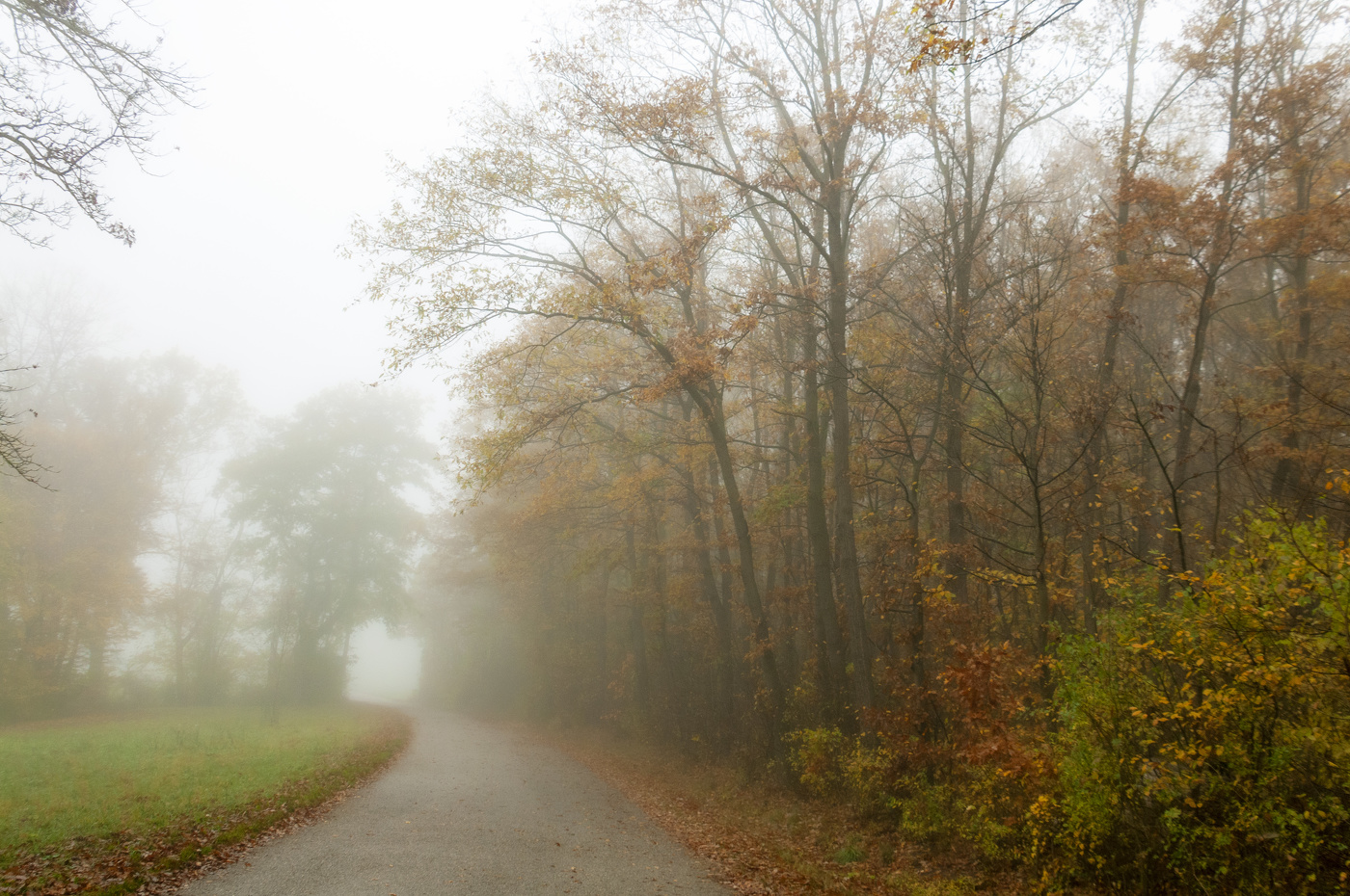 Осень в парке