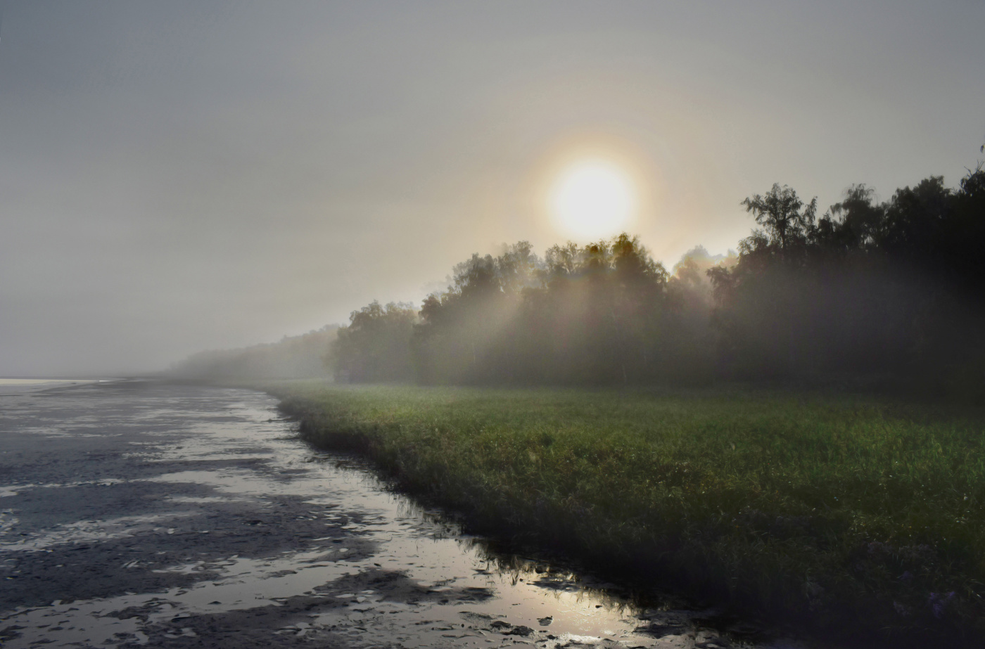 Туманное утро