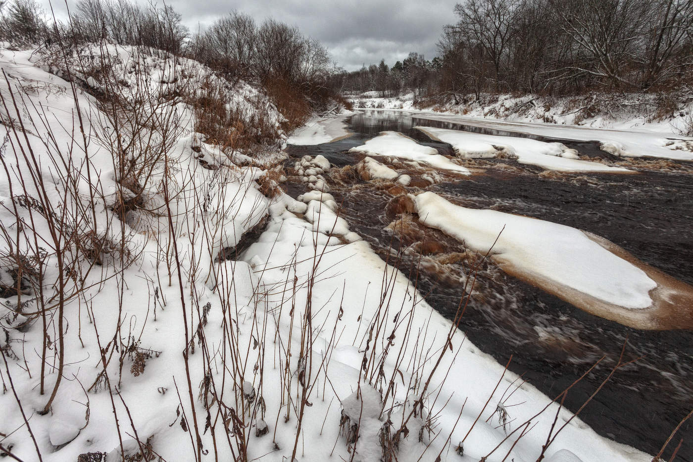 Жизнь вокруг