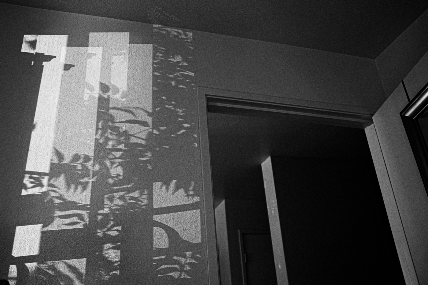 В гости ко мне заглянули свет и тени.