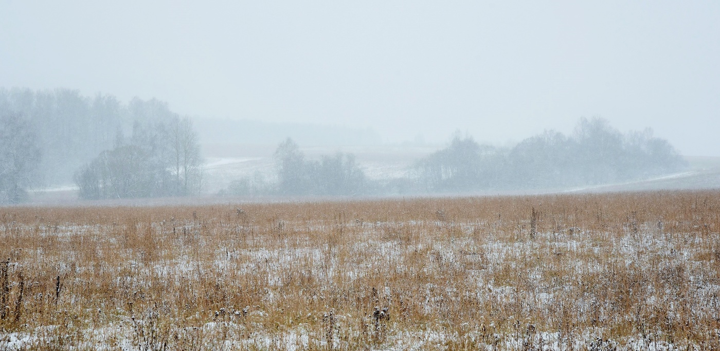 "Последним утром ноября, накинув плащ, уходит осень..."