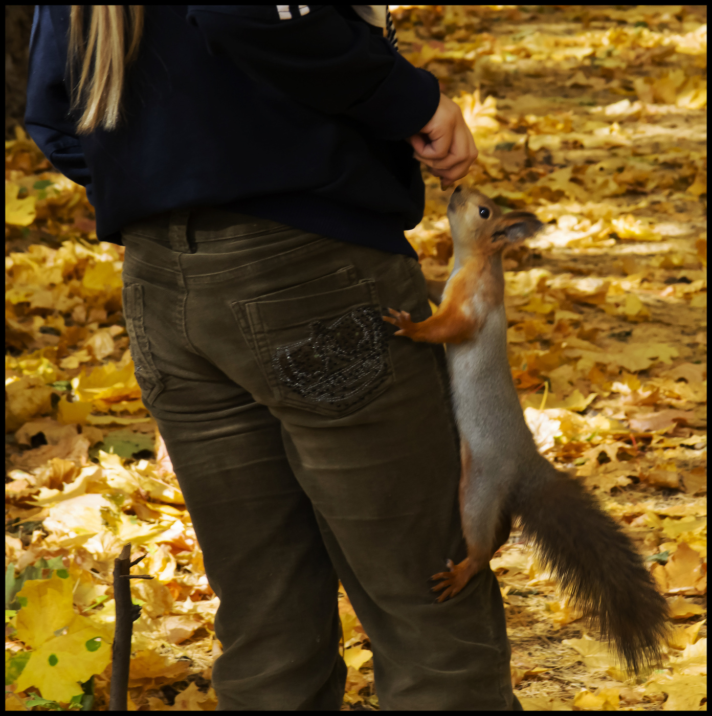 В осеннем лесу