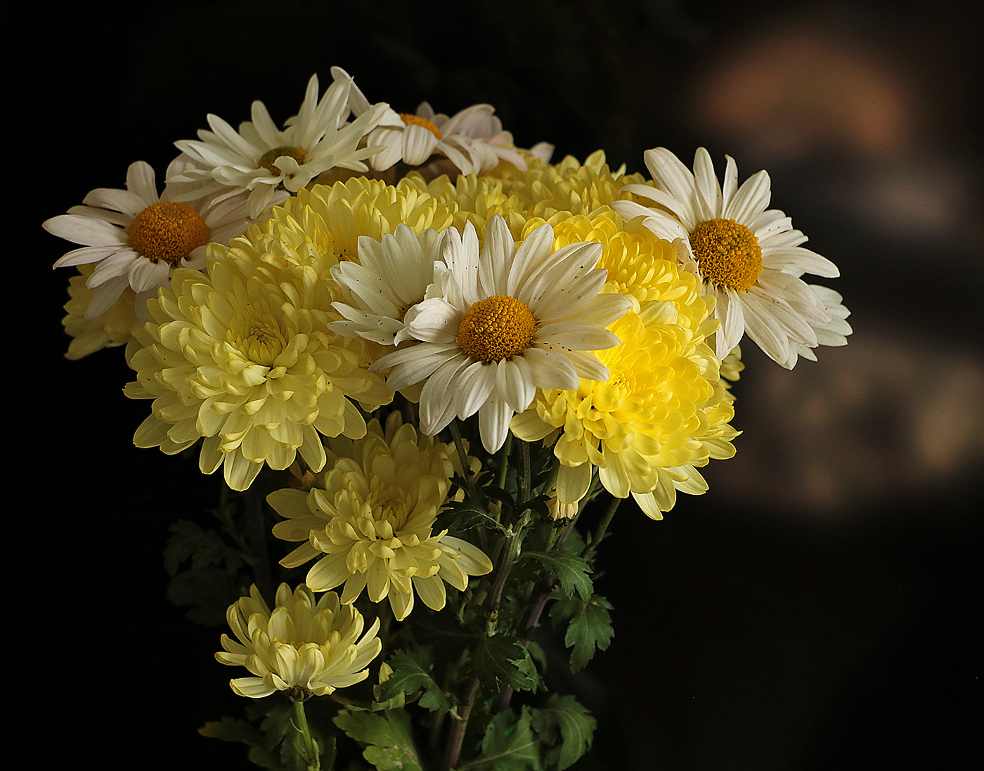 Ромашки с хризантемами