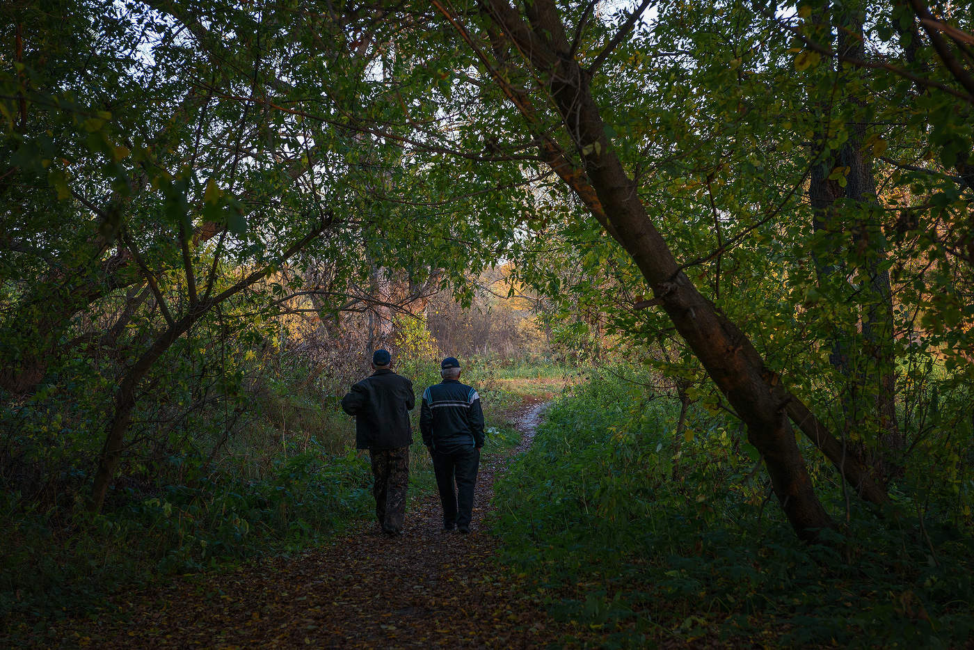 Сельские дорожки...