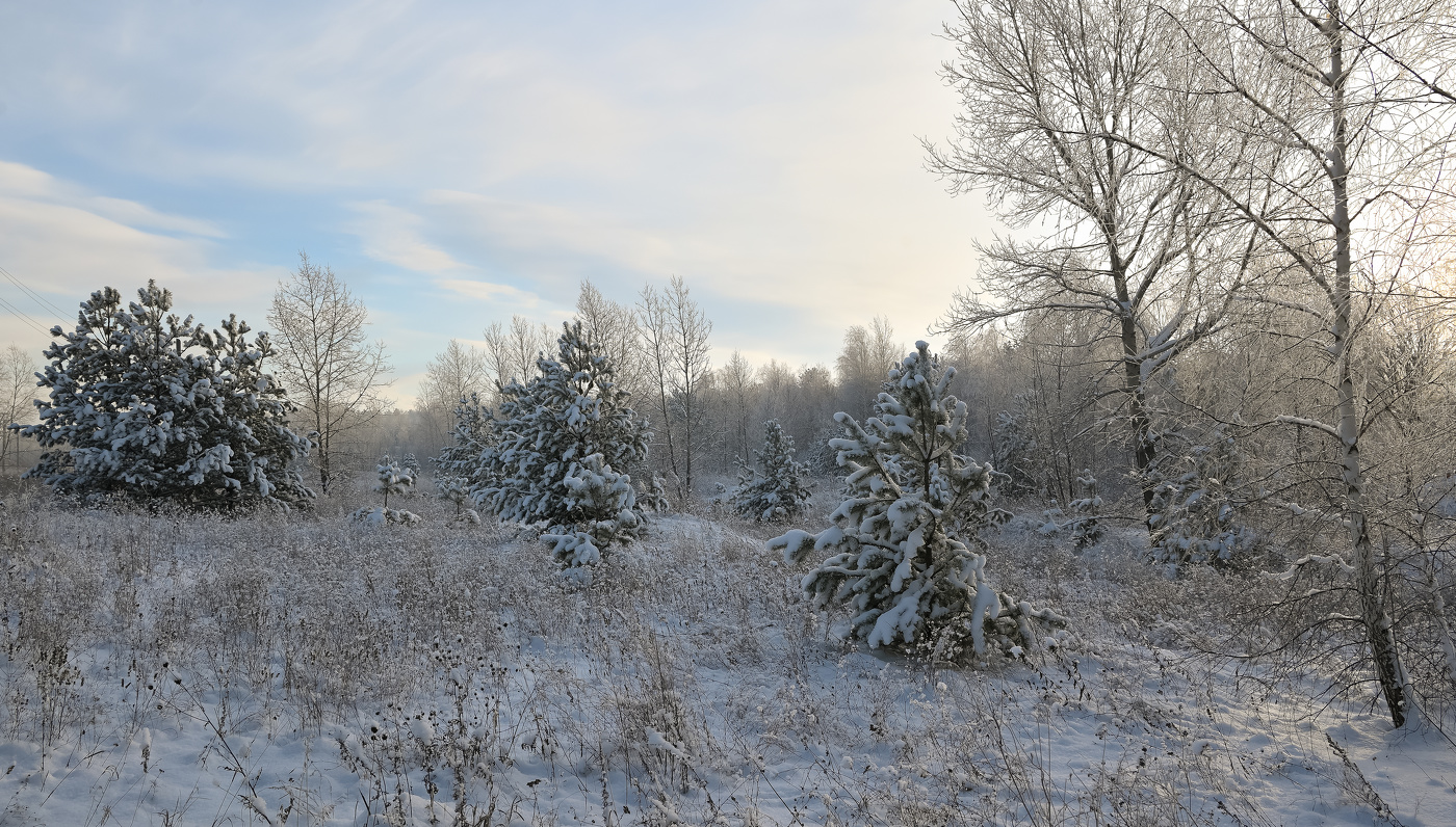 Зимняя зарисовка.
