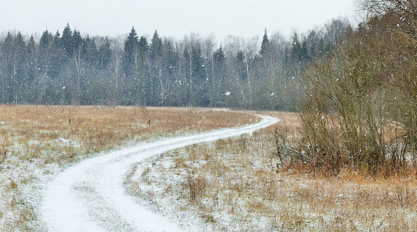 "Ноябрь, за все тебя благодарю ..."