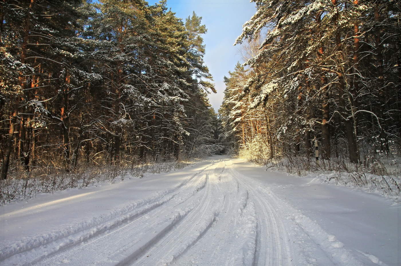 Вечерний променад