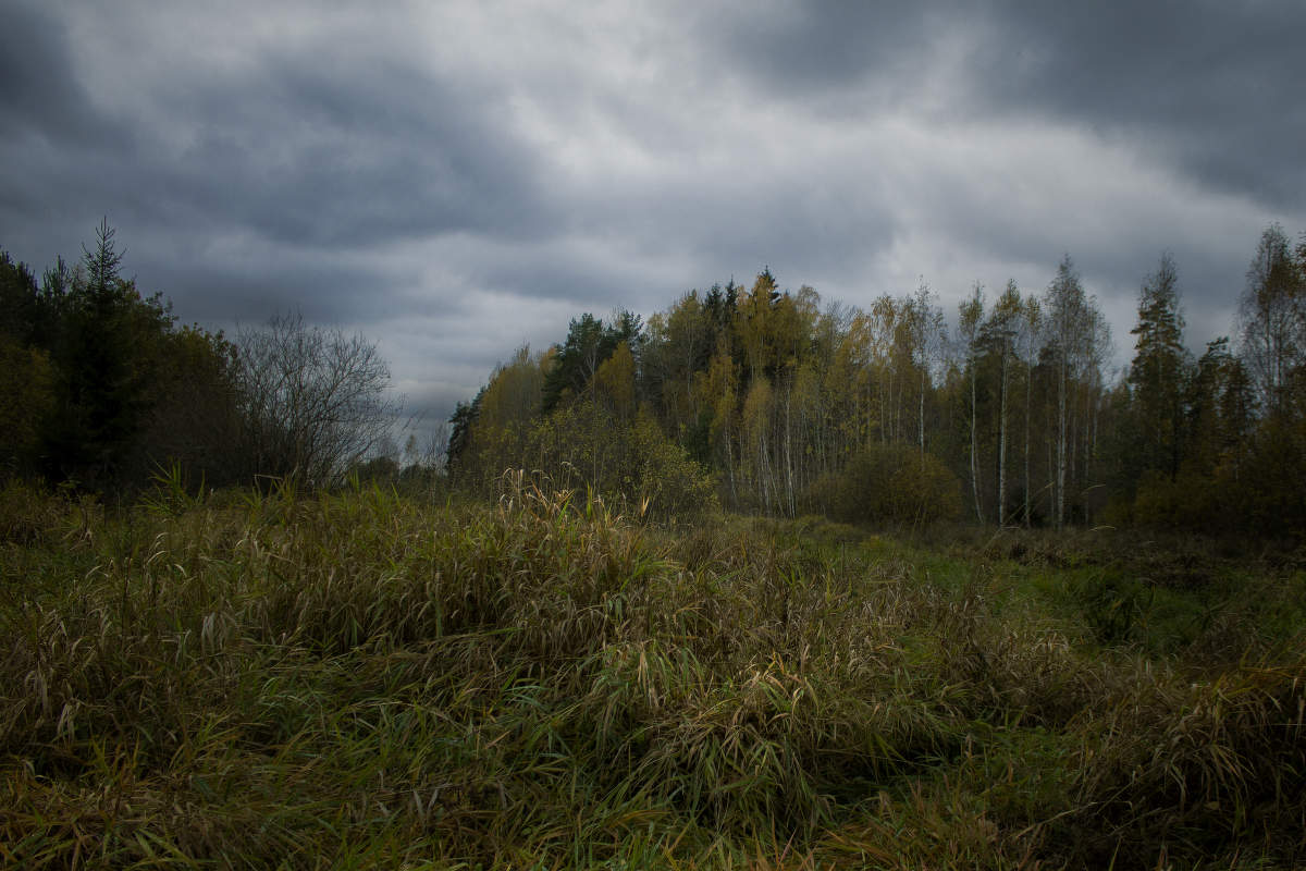 Оссеннее настроение