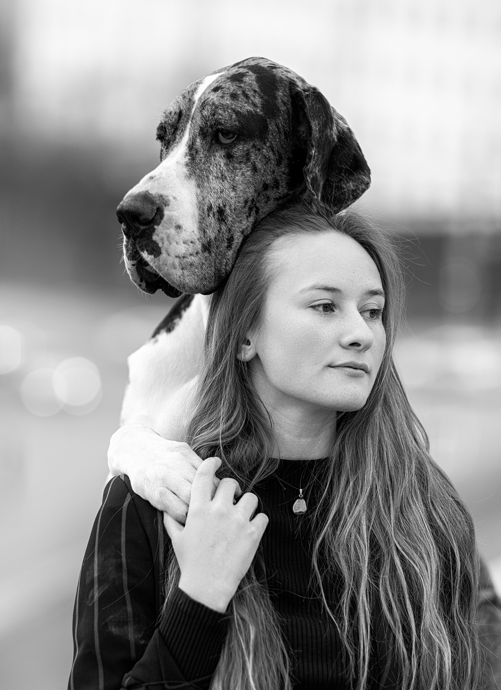 Дай, друг, на счастье лапу мне