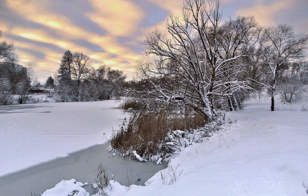 Зимние небесные всполохи