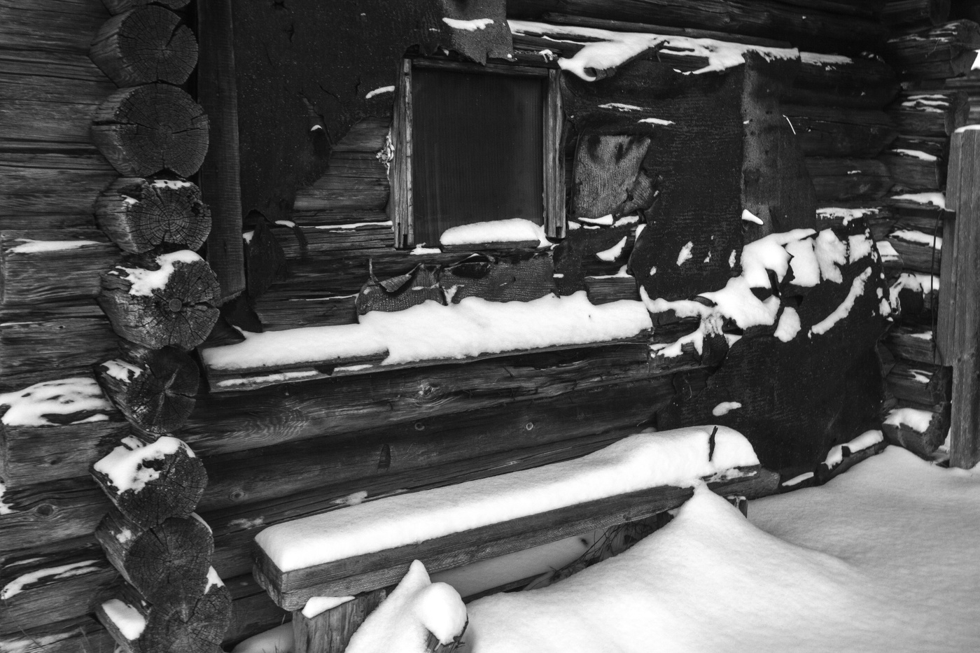 Жизнь вокруг