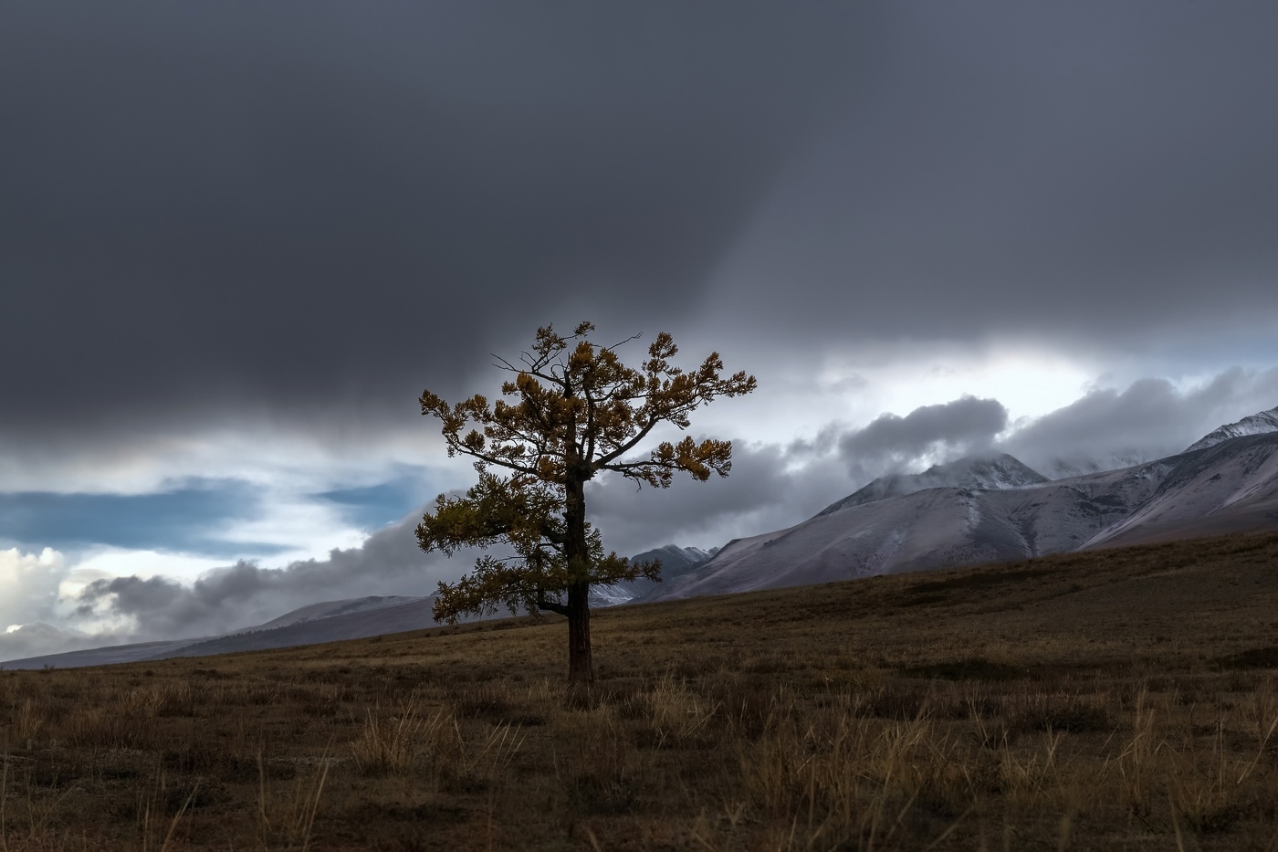 Осенний дождь